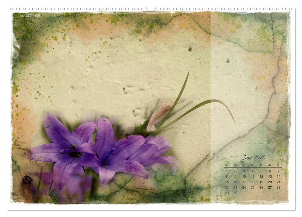 Blüte trifft auf Aquarell (CALVENDO Wandkalender 2026)