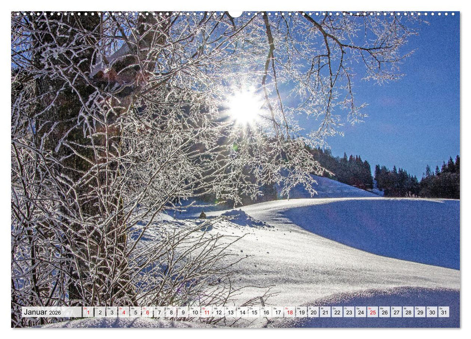 Grüße aus Unken (CALVENDO Wandkalender 2026)