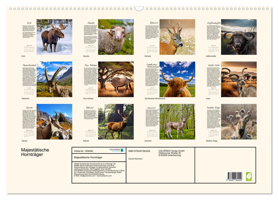 Majestätische Hornträger (CALVENDO Wandkalender 2026)