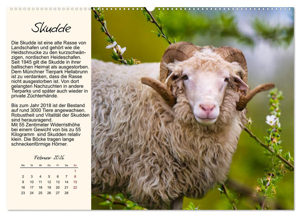 Majestätische Hornträger (CALVENDO Wandkalender 2026)