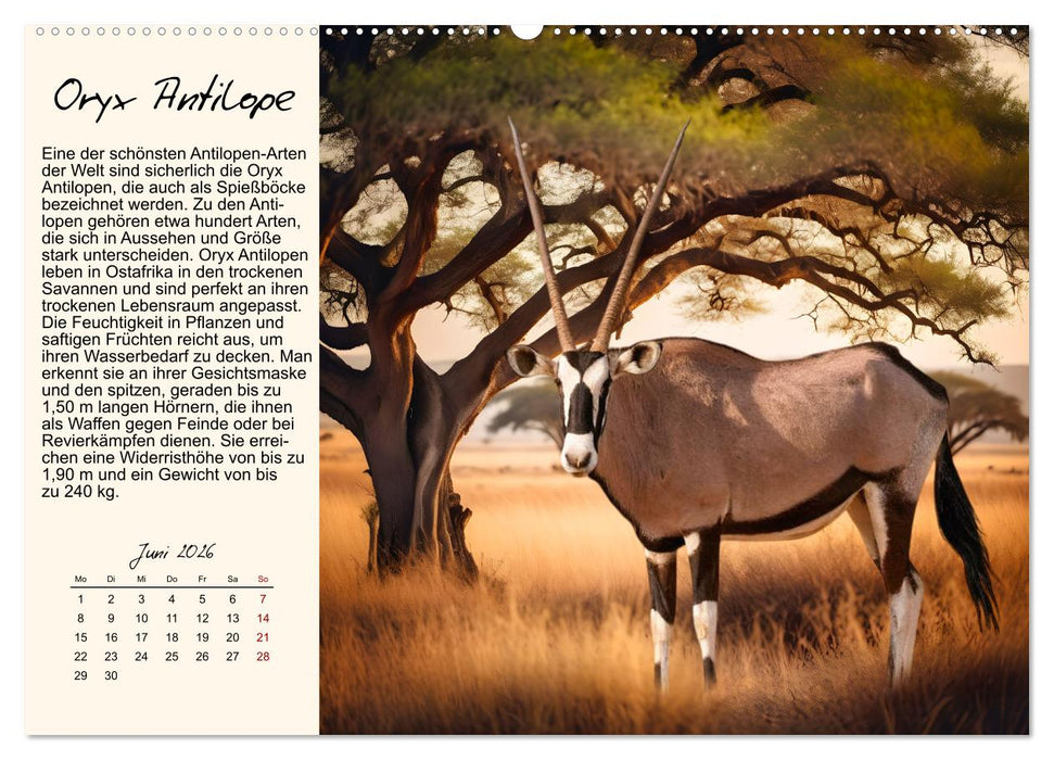 Majestätische Hornträger (CALVENDO Wandkalender 2026)