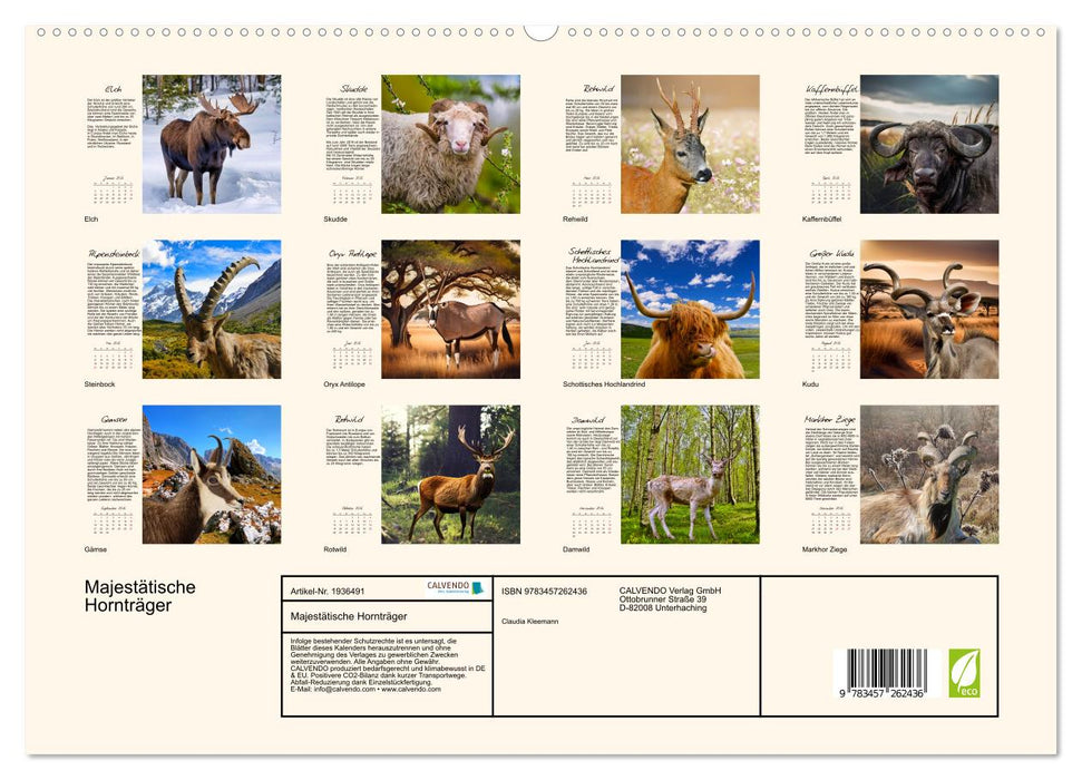 Majestätische Hornträger (CALVENDO Premium Wandkalender 2026)