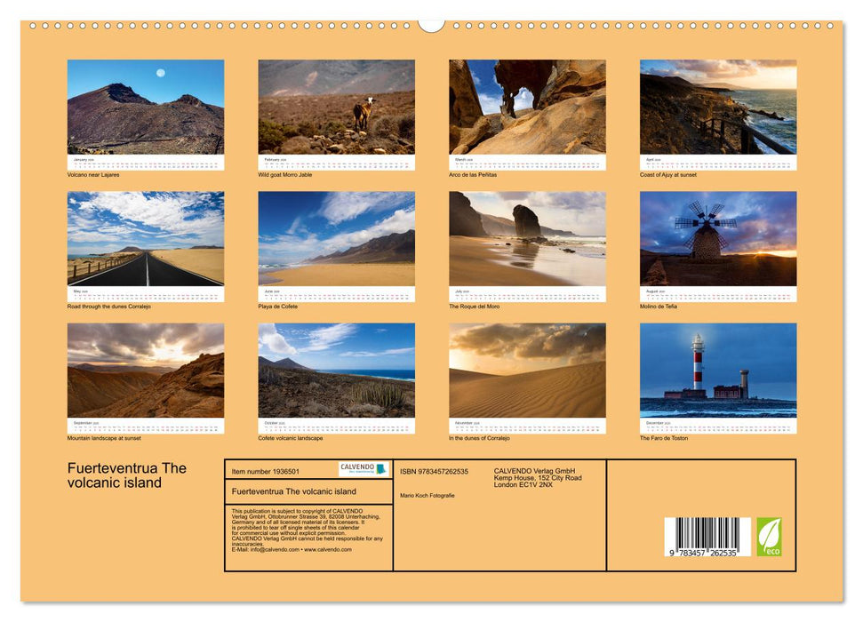 Fuerteventrua The volcanic island (CALVENDO Premium-Calendar 2026)