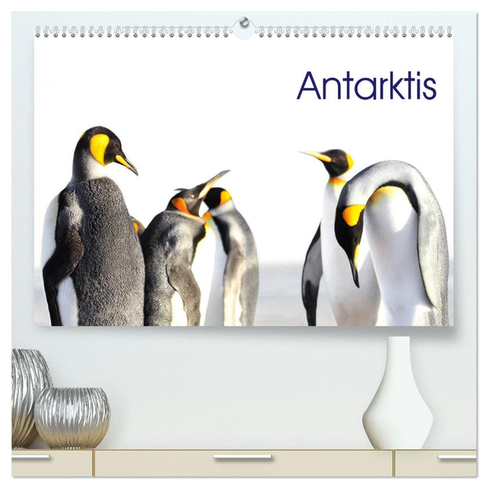 Antarktis - viaje.ch (CALVENDO Premium Wandkalender 2026)