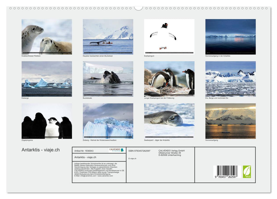 Antarktis - viaje.ch (CALVENDO Premium Wandkalender 2026)