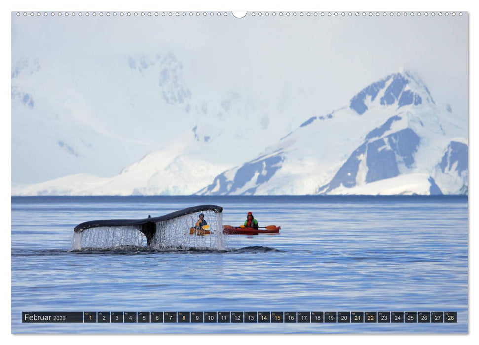 Antarktis - viaje.ch (CALVENDO Premium Wandkalender 2026)