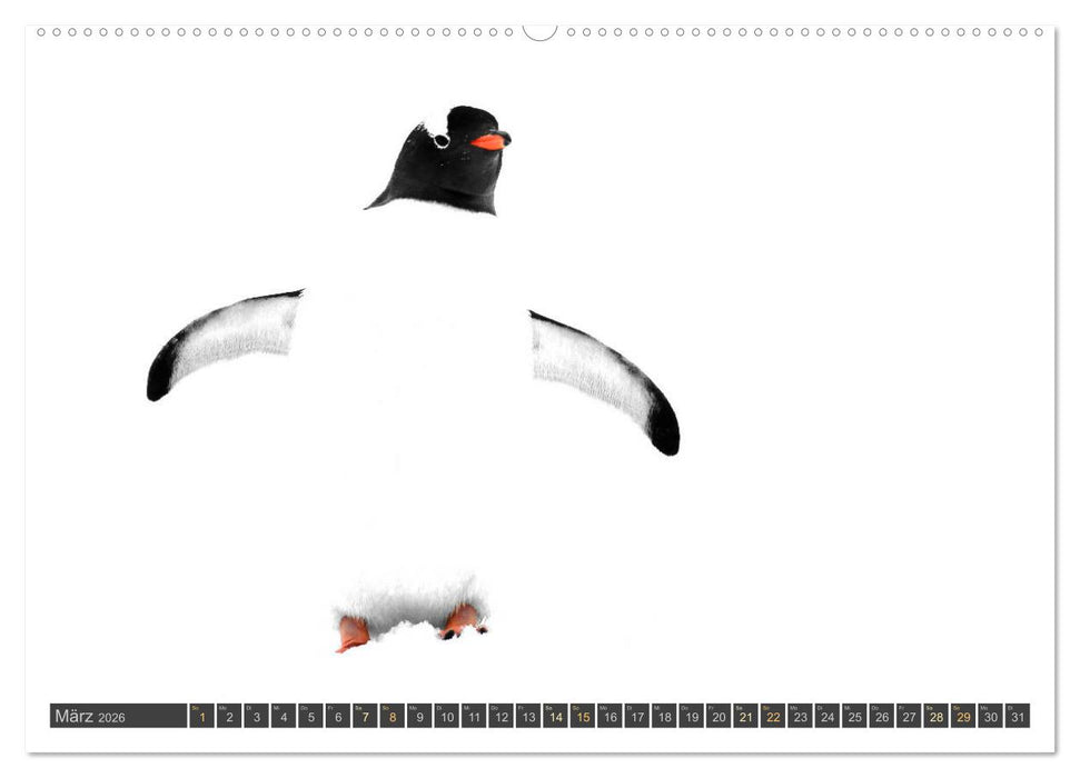 Antarktis - viaje.ch (CALVENDO Premium Wandkalender 2026)