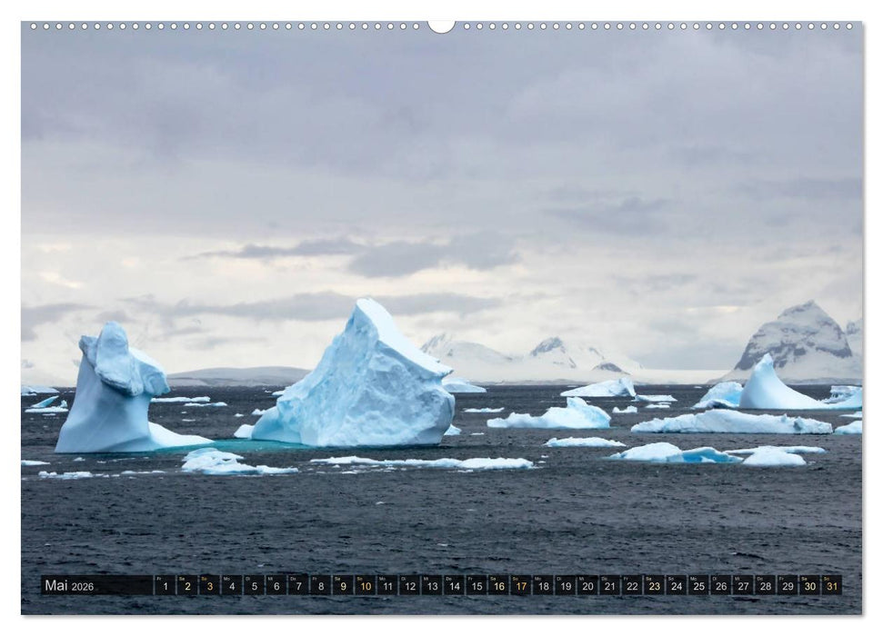 Antarktis - viaje.ch (CALVENDO Premium Wandkalender 2026)