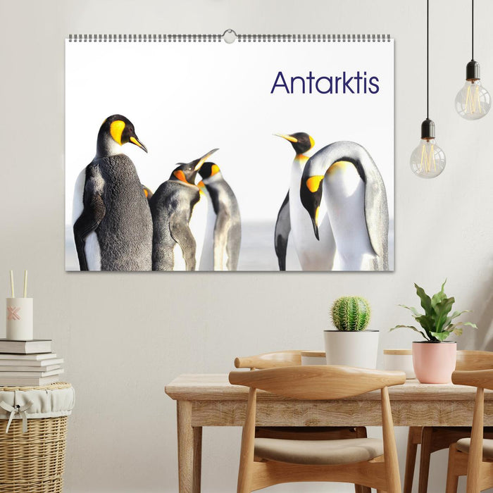 Antarktis - viaje.ch (CALVENDO Wandkalender 2026)
