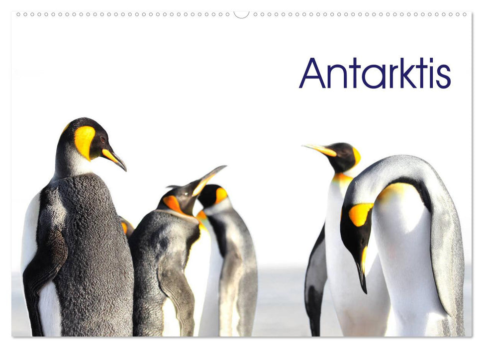 Antarktis - viaje.ch (CALVENDO Wandkalender 2026)