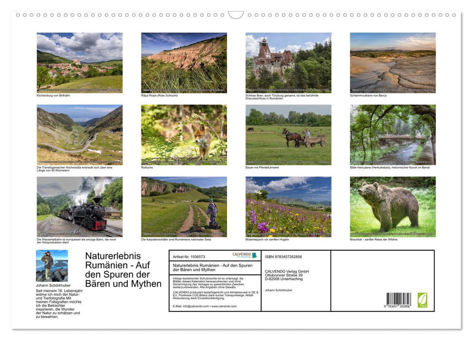 Naturerlebnis Rumänien - Auf den Spuren der Bären und Mythen (CALVENDO Wandkalender 2026)