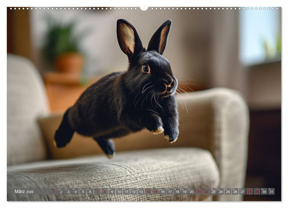 Kuschelige Sofa-Kaninchen (CALVENDO Premium Wandkalender 2026)