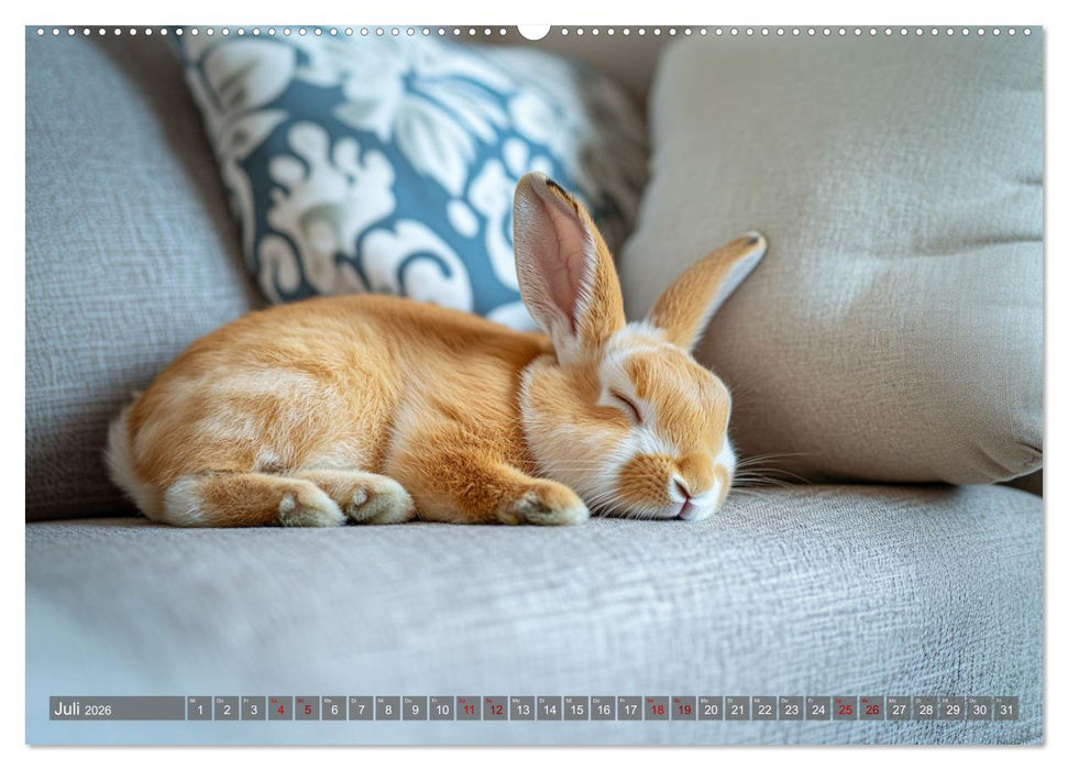 Kuschelige Sofa-Kaninchen (CALVENDO Premium Wandkalender 2026)