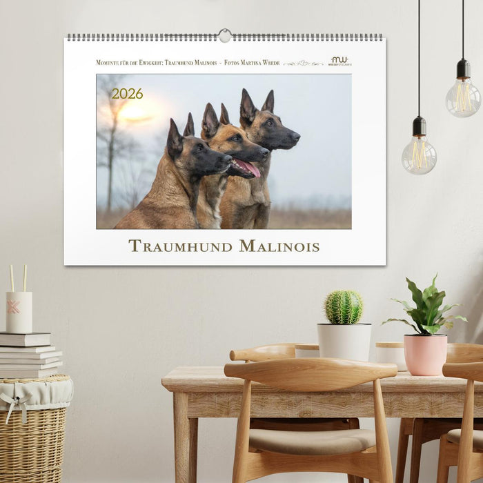 Traumhund Malinois (CALVENDO Wandkalender 2026)