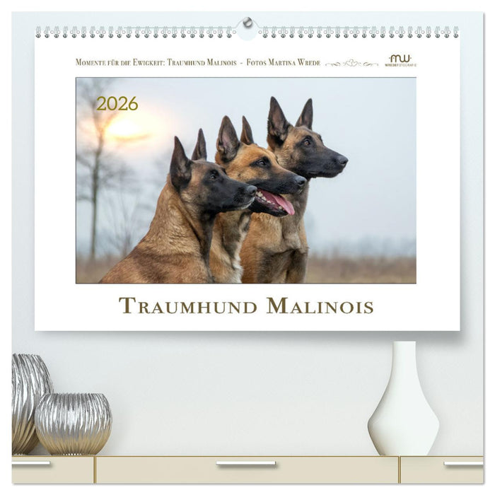 Traumhund Malinois (CALVENDO Premium Wandkalender 2026)