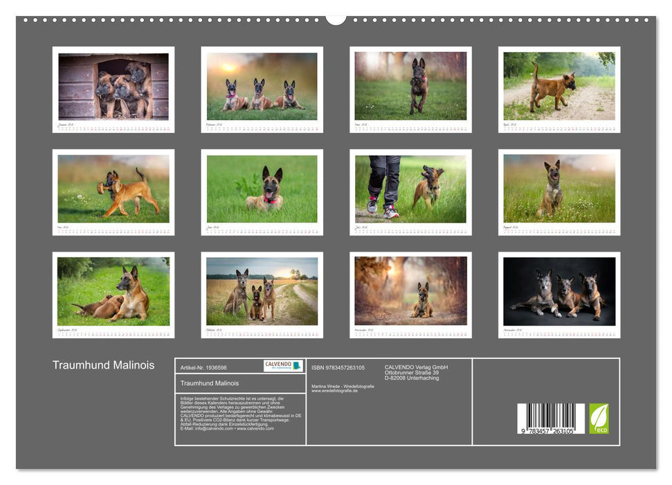 Traumhund Malinois (CALVENDO Premium Wandkalender 2026)