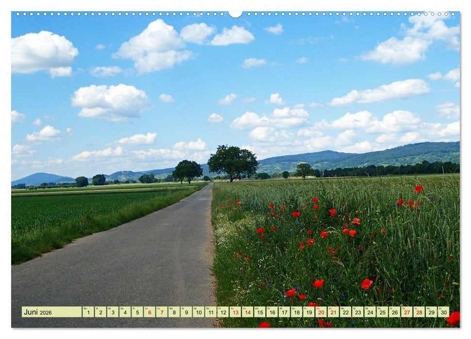 Weinregion Bergstraße Burgen, Wein und Mandelblüte (CALVENDO Premium Wandkalender 2026)