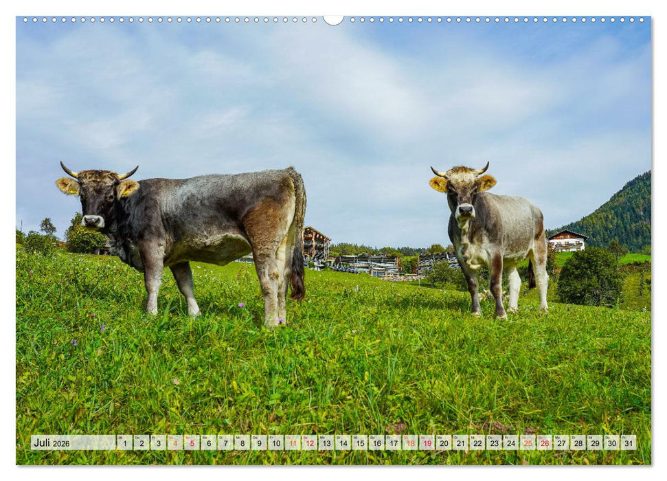 Südtirol Impressionen (CALVENDO Premium Wandkalender 2026)