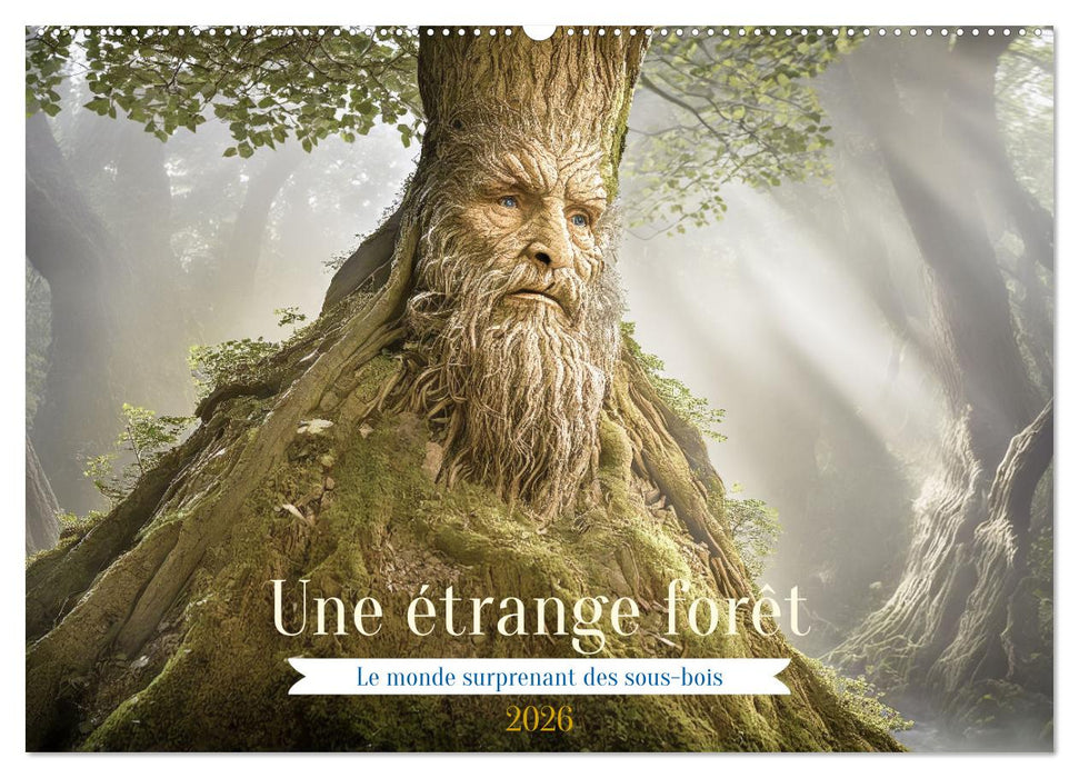 Une étrange forêt - Le monde surprenant des sous-bois (CALVENDO Calendrier mensuel 2026)