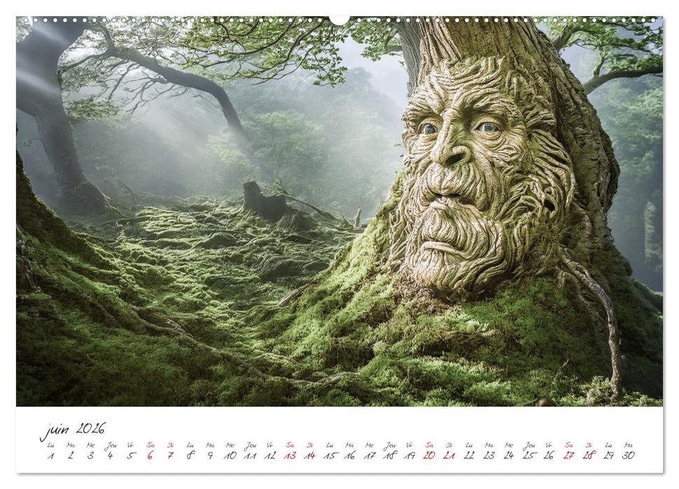 Une étrange forêt - Le monde surprenant des sous-bois (CALVENDO Calendrier supérieur 2026)