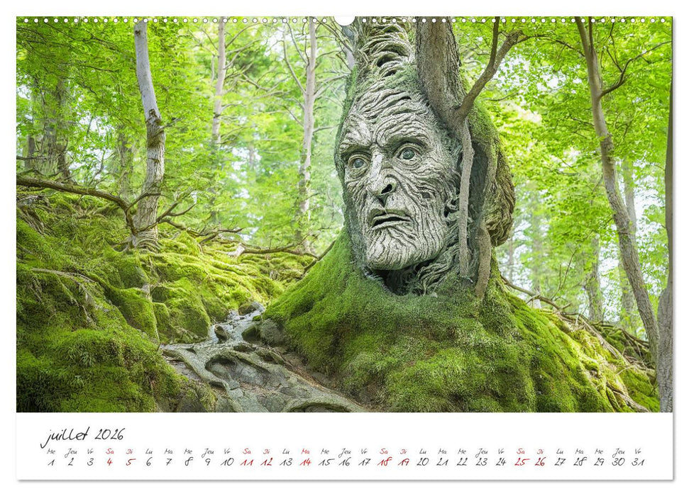 Une étrange forêt - Le monde surprenant des sous-bois (CALVENDO Calendrier supérieur 2026)