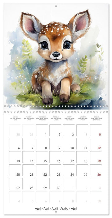 Renard Rexi et ses amis - mon premier agenda (CALVENDO Calendrier mensuel 2026)