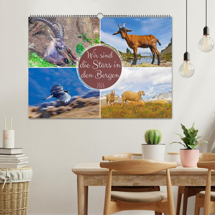 Wir sind die Stars in den Bergen (CALVENDO Wandkalender 2026)