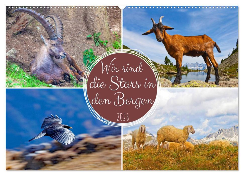 Wir sind die Stars in den Bergen (CALVENDO Wandkalender 2026)
