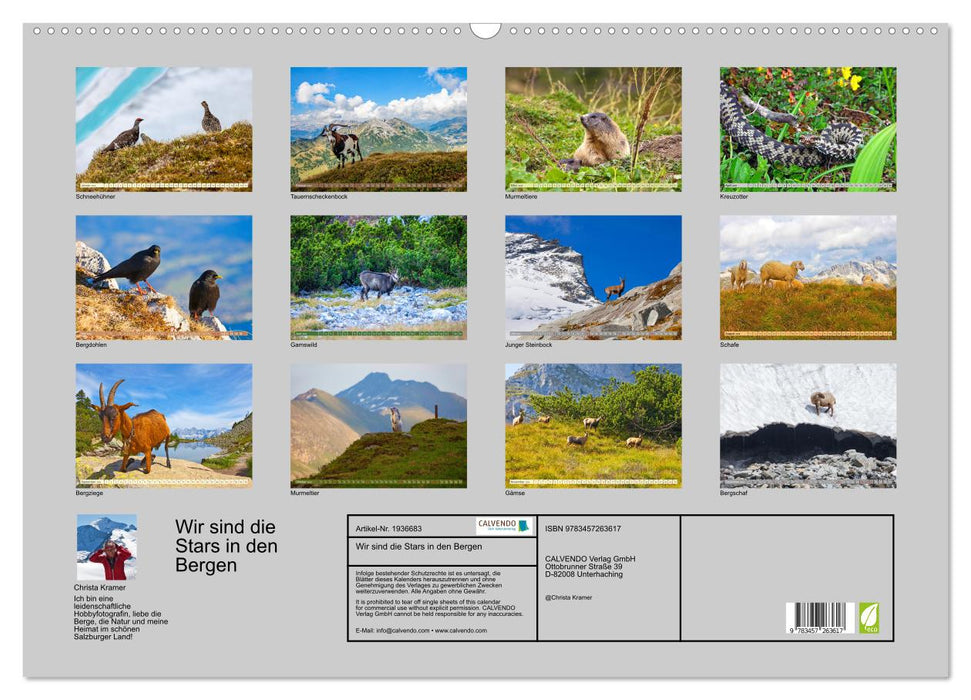 Wir sind die Stars in den Bergen (CALVENDO Wandkalender 2026)