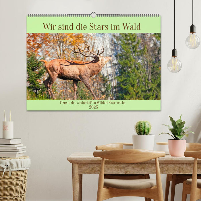 Wir sind die Stars im Wald (CALVENDO Wandkalender 2026)