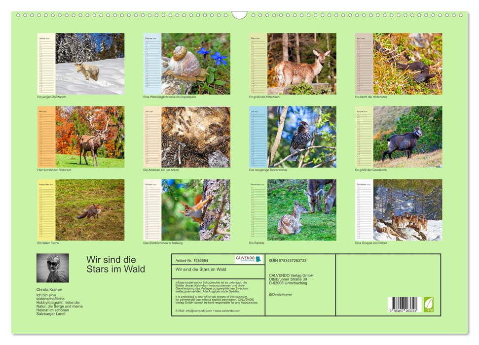 Wir sind die Stars im Wald (CALVENDO Wandkalender 2026)