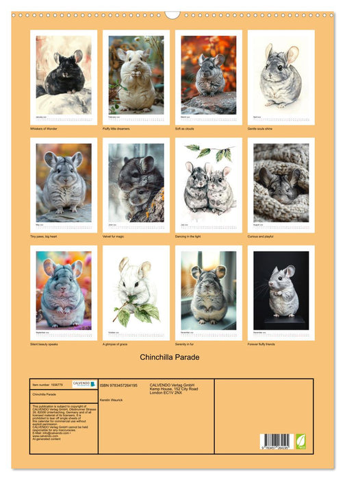 Chinchilla Parade (CALVENDO Monthly Calendar 2026)