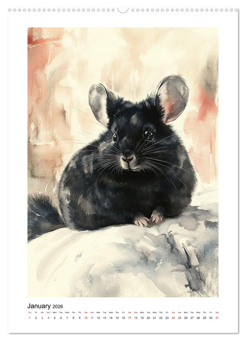 Chinchilla Parade (CALVENDO Monthly Calendar 2026)
