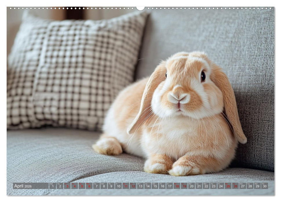 A Cuddly Rabbit Life (CALVENDO Premium-Calendar 2026)