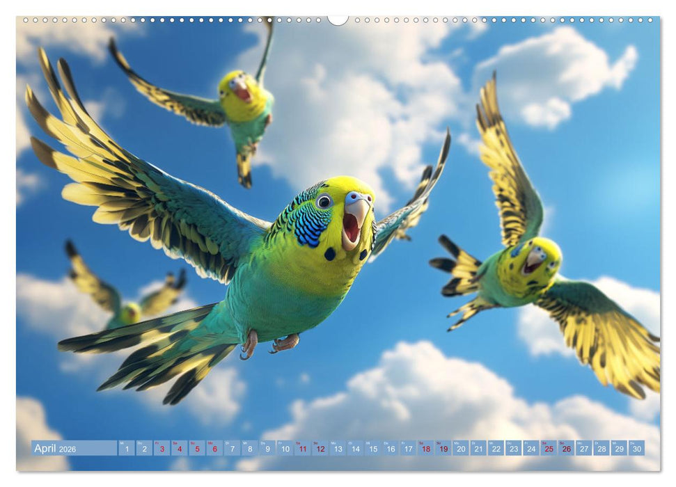 Im Wellensittich Wunderland (CALVENDO Wandkalender 2026)