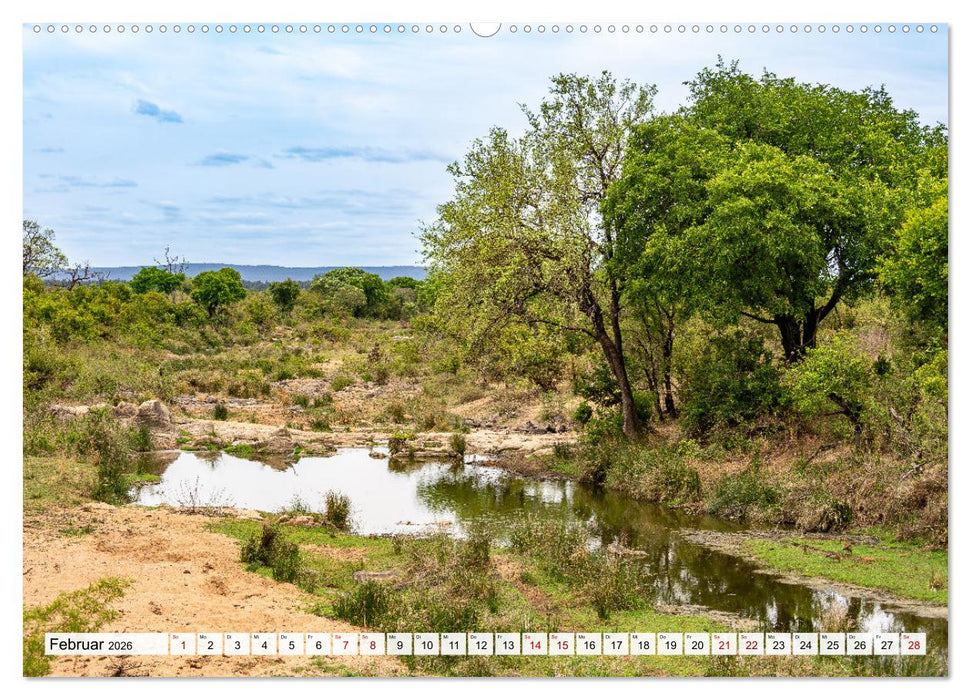 Südafrika - Landschaft voller Vielfalt und Schönheit (CALVENDO Premium Wandkalender 2026)
