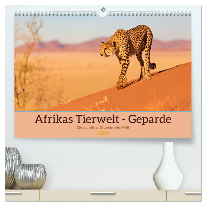 Afrikas Tierwelt - Geparde (CALVENDO Premium Wandkalender 2026)