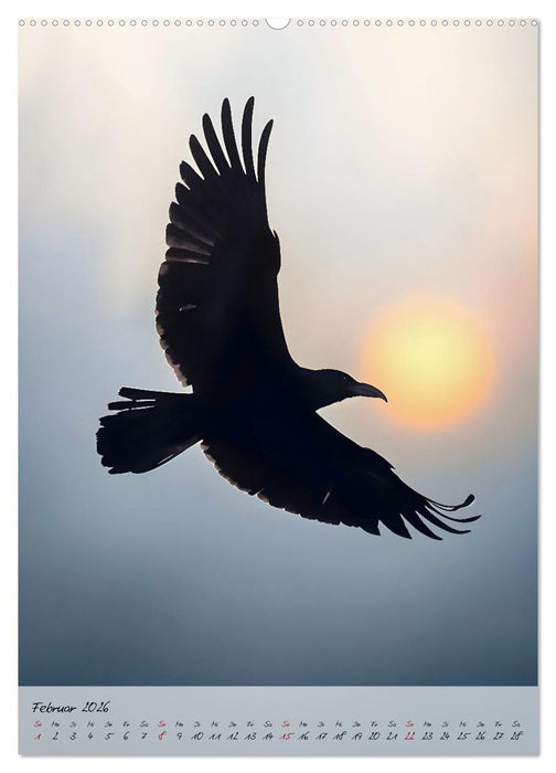 Rabenmond - Ein mystischer Jahresbegleiter (CALVENDO Premium Wandkalender 2026)