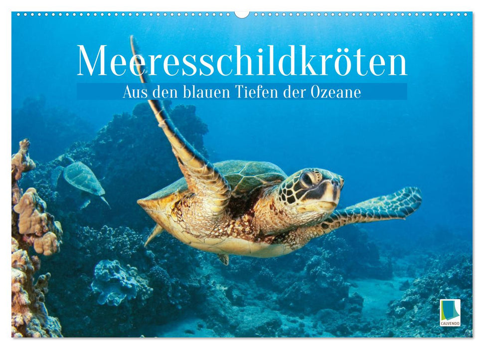 Meeresschildkröten: Aus den blauen Tiefen der Ozeane (CALVENDO Wandkalender 2026)