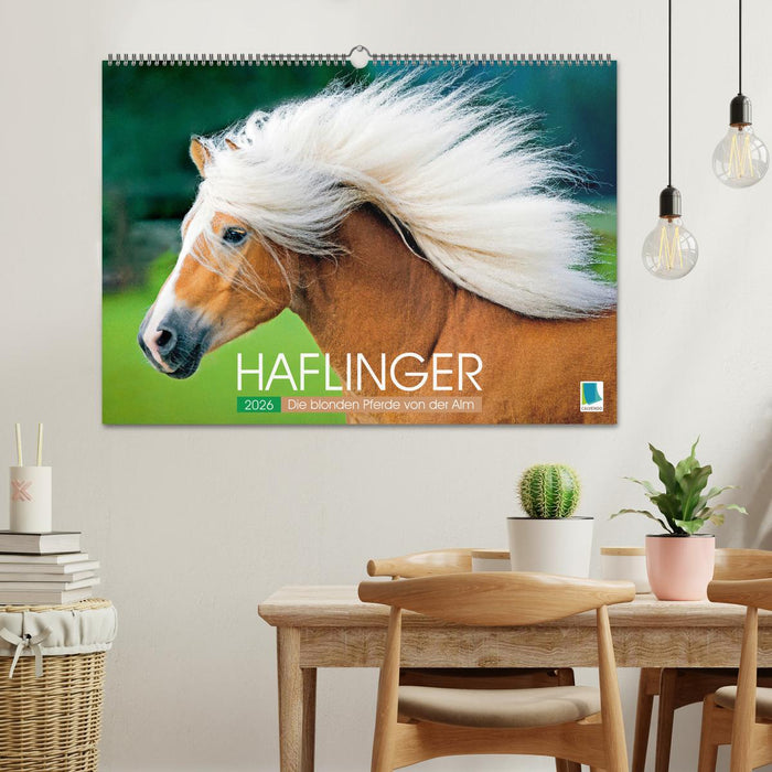 Haflinger: Die blonden Pferde von der Alm (CALVENDO Wandkalender 2026)