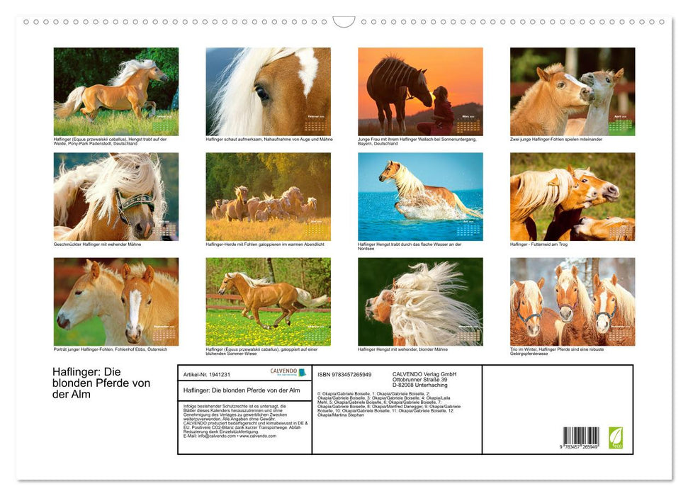 Haflinger: Die blonden Pferde von der Alm (CALVENDO Wandkalender 2026)