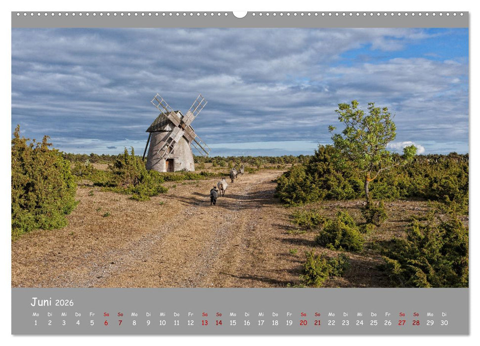 Historische Mühlen - Räder und Flügel der Vergangenheit (CALVENDO Wandkalender 2026)