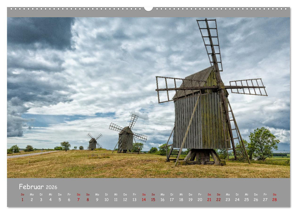 Historische Mühlen - Räder und Flügel der Vergangenheit (CALVENDO Premium Wandkalender 2026)