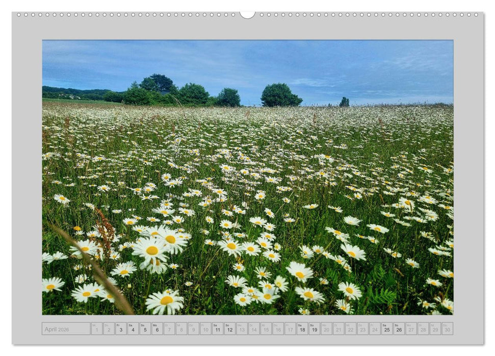 Mön...die Schönheit einer dänischen Insel (CALVENDO Wandkalender 2026)