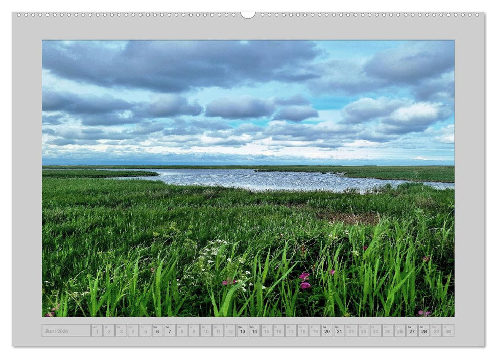 Mön...die Schönheit einer dänischen Insel (CALVENDO Wandkalender 2026)