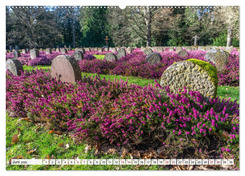 Niedersachsen - Göttingen (CALVENDO Wandkalender 2026)