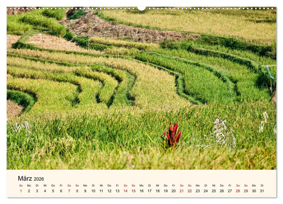 Sulawesi Im Reich der Torajas (CALVENDO Wandkalender 2026)