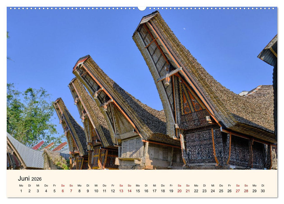 Sulawesi Im Reich der Torajas (CALVENDO Wandkalender 2026)