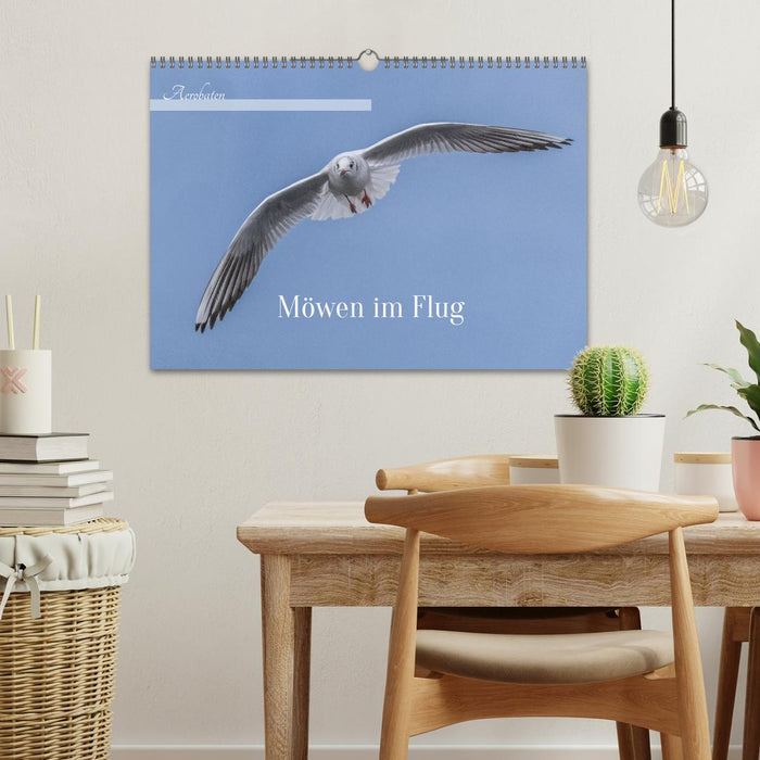 Aerorobaten - Möwen im Flug (CALVENDO Wandkalender 2026)