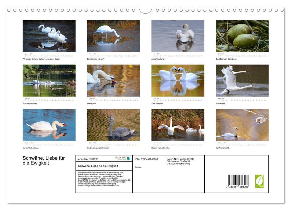 Schwäne, Liebe für die Ewigkeit (CALVENDO Wandkalender 2026)